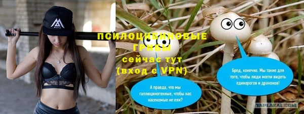 гидра Алексин