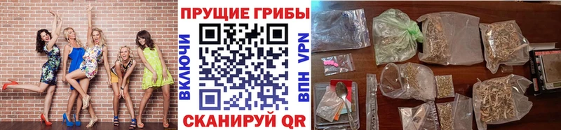 Псилоцибиновые грибы Magic Shrooms  Железногорск-Илимский 